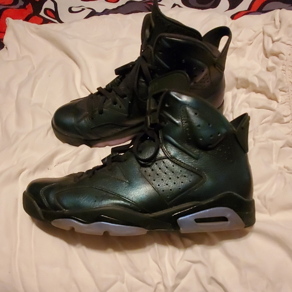 Jordan all star game/chameleon 6's